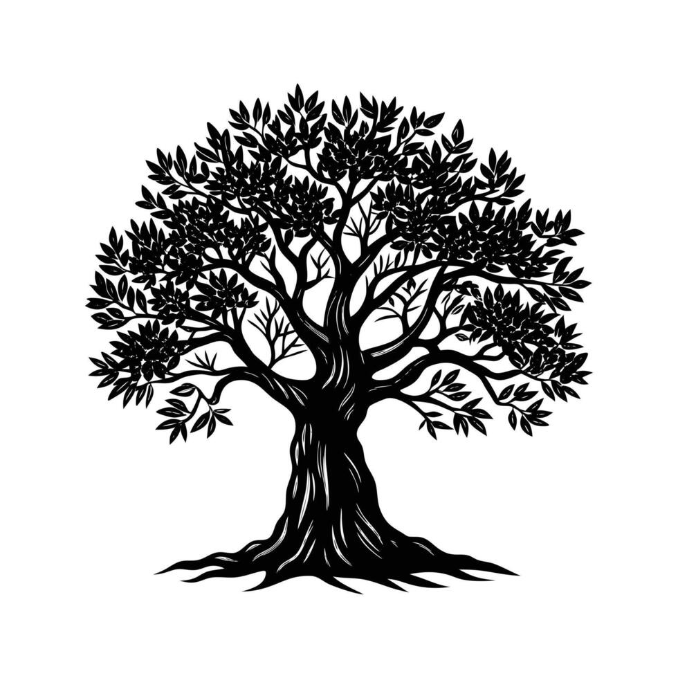 Silhouette of an Olive Tree vector