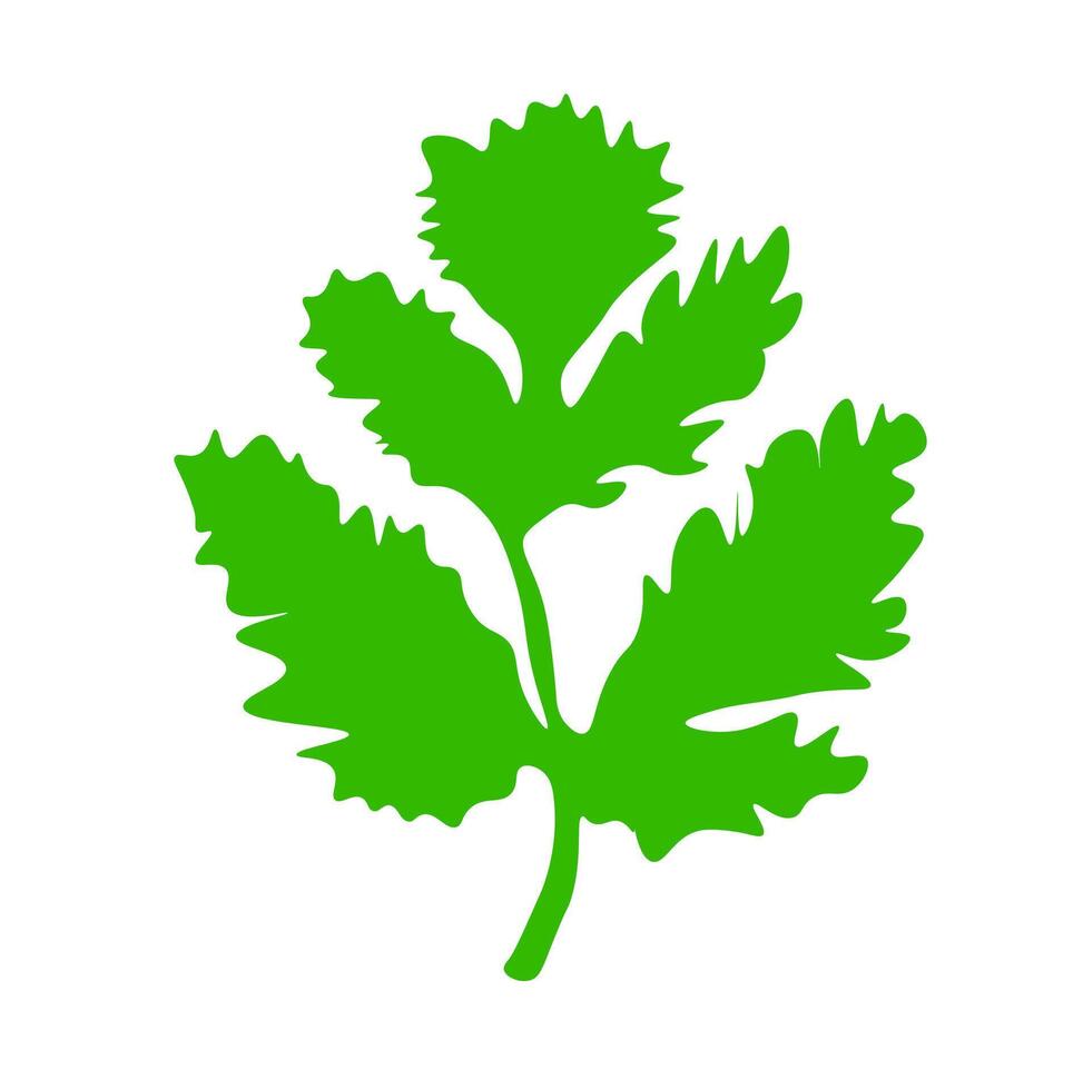 Fresh cilantro herb icon. A green graphic symbolizing cooking herbs, fresh ingredients, and aromatic flavor. vector