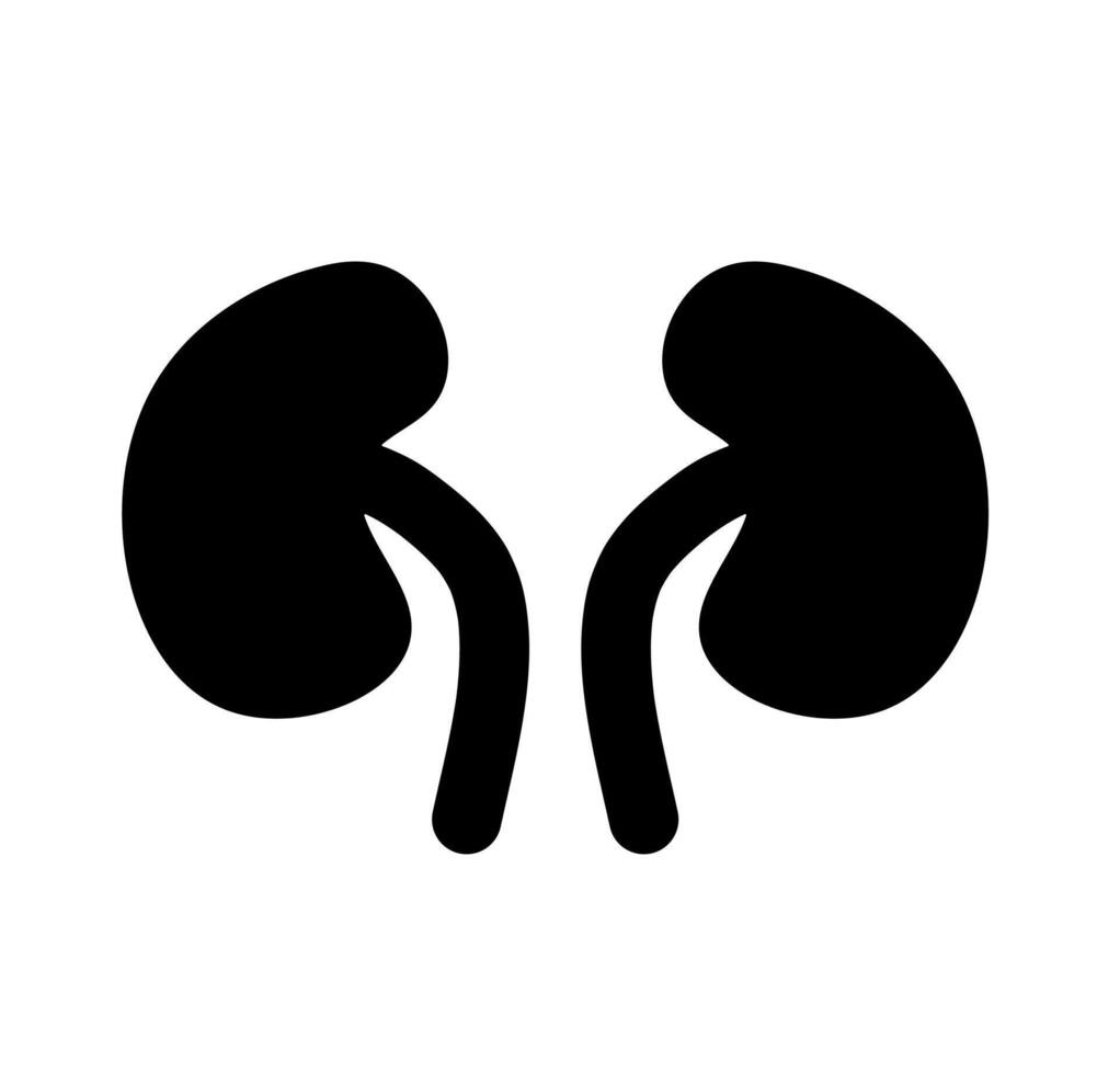 Kidney organs black silhouette. A minimalist, solid black silhouette of a pair of human kidneys, representing renal function and internal anatomy. vector