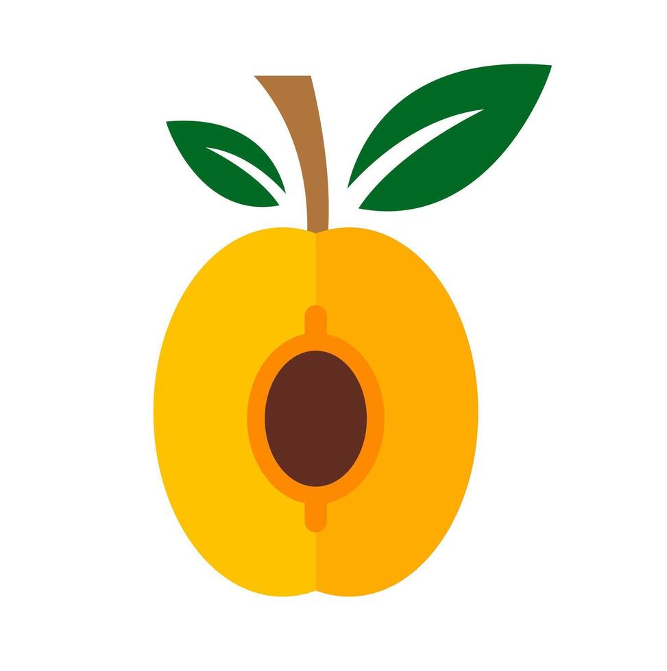 Apricot or peach fruit icon. An orange graphic with a pit, symbolizing sweet stone fruit and healthy eating. vector