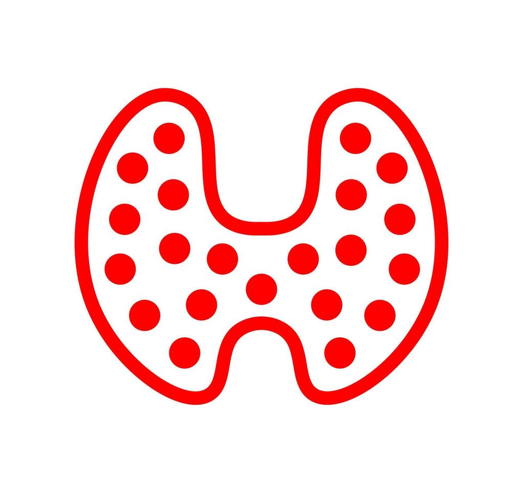 Dotted red thyroid gland. A stylized, solid red graphic of the thyroid gland with a dotted texture, representing endocrine health and internal anatomy. vector