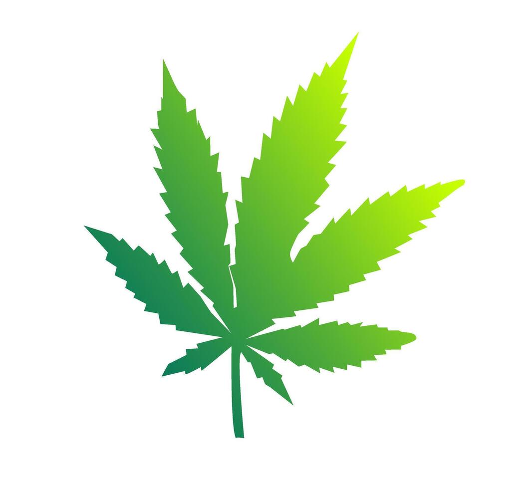 Marijuana leaf botanical graphic. A green, stylized graphic of a cannabis or marijuana leaf, representing natural remedies, cannabis, or botany. vector