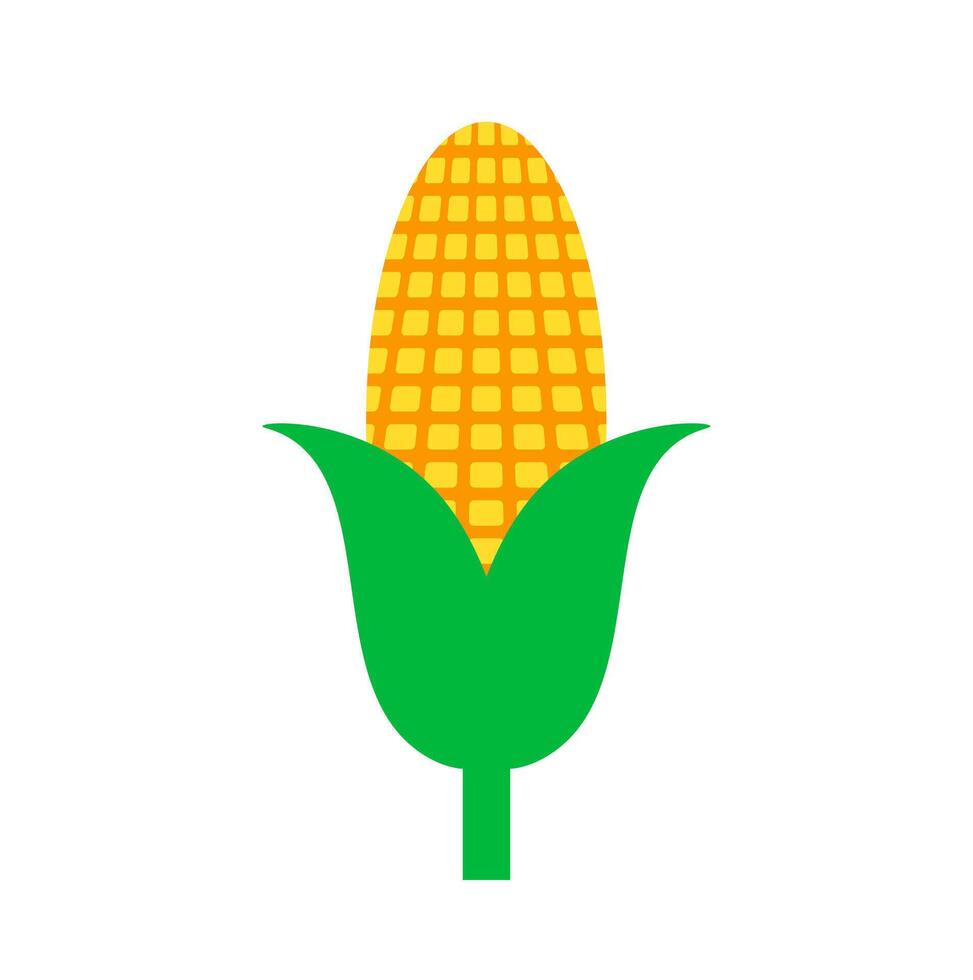 Sweet corn cob vegetable icon. A yellow graphic with green husks, symbolizing healthy food, grain, and summer produce. vector