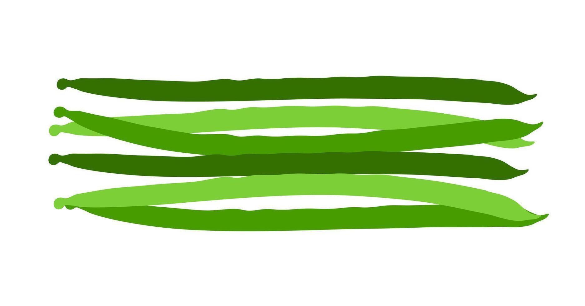 Fresh green asparagus vegetable icon. A bundle of spears, symbolizing healthy food, spring produce, and natural ingredients. vector