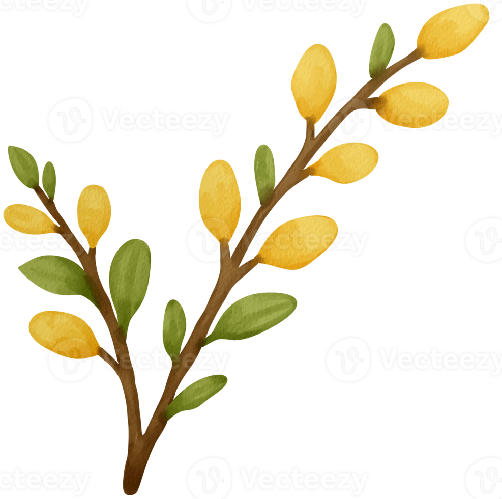 Yellow and green flowers in alternating colors, png