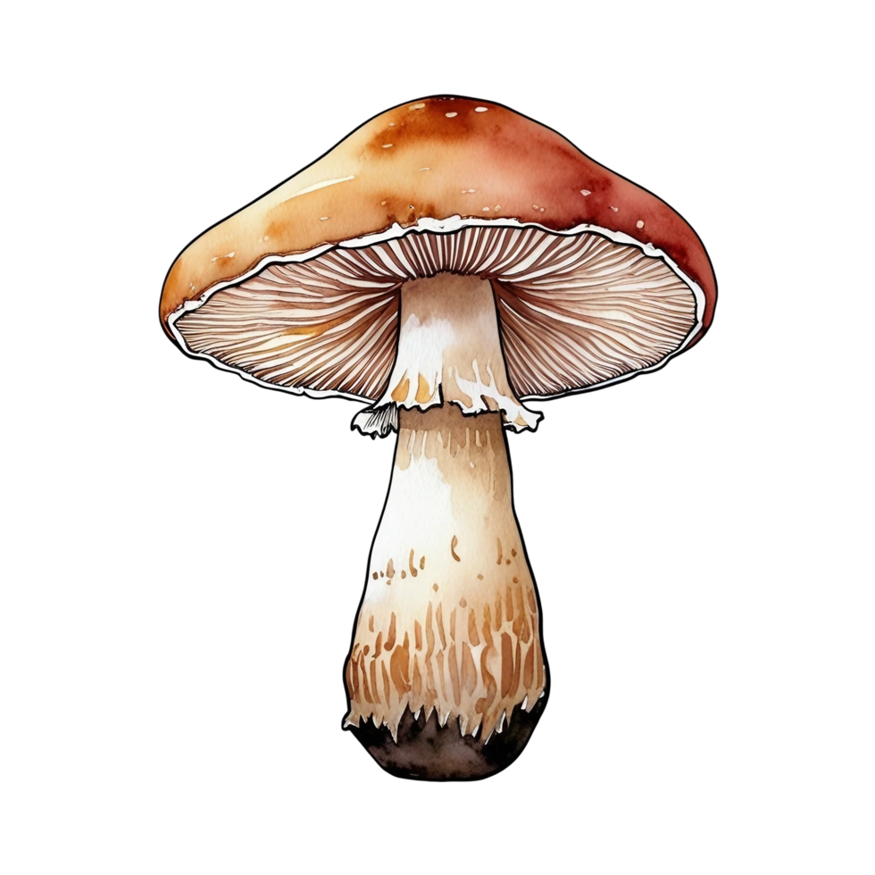 Watercolor Honey Mushrooms Clipart png