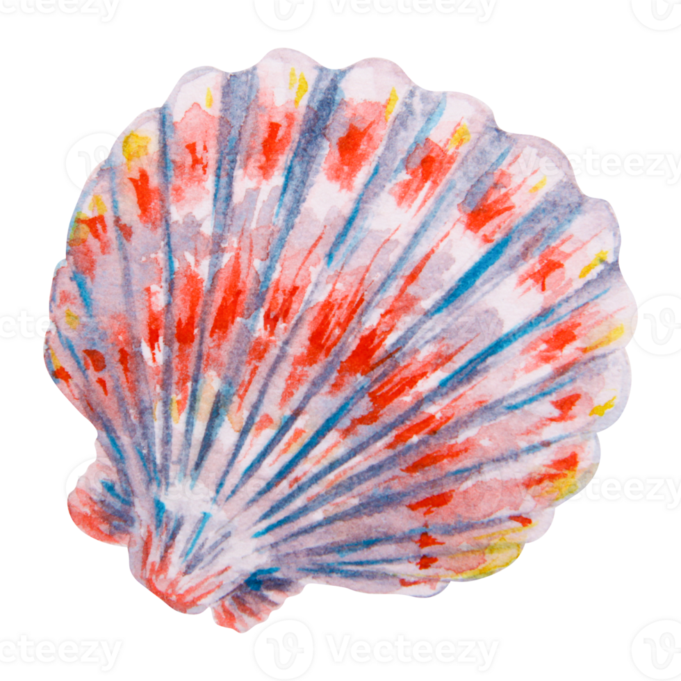 Scallop seashell with red, blue, and yellow stripes. Watercolor hand drawn illustration of a vibrant marine shell, perfect for ocean themes, aquarium decor, diving, and tropical travel. png