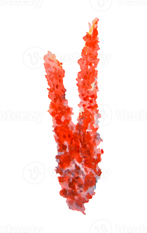 Red coral branch painted in watercolor. Textured marine element perfect for ocean-themed projects, tropical reef designs, aquarium visuals, biology materials, scuba diving and travel illustrations png