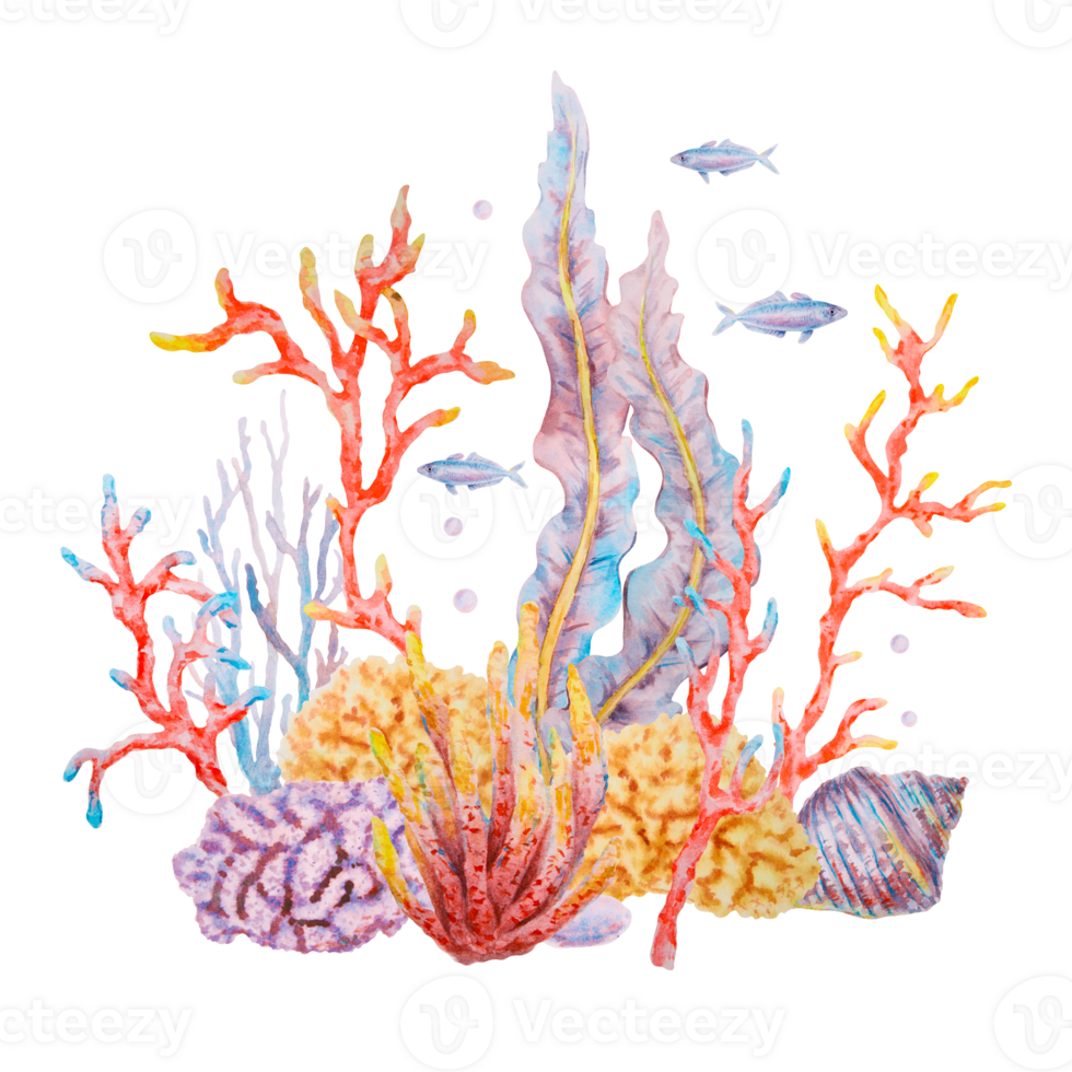 Watercolor illustration of an underwater scene with colorful corals, seaweed, tropical fish and shells, hand painted in vibrant tones, ideal for marine-themed designs, kids prints and packaging. png