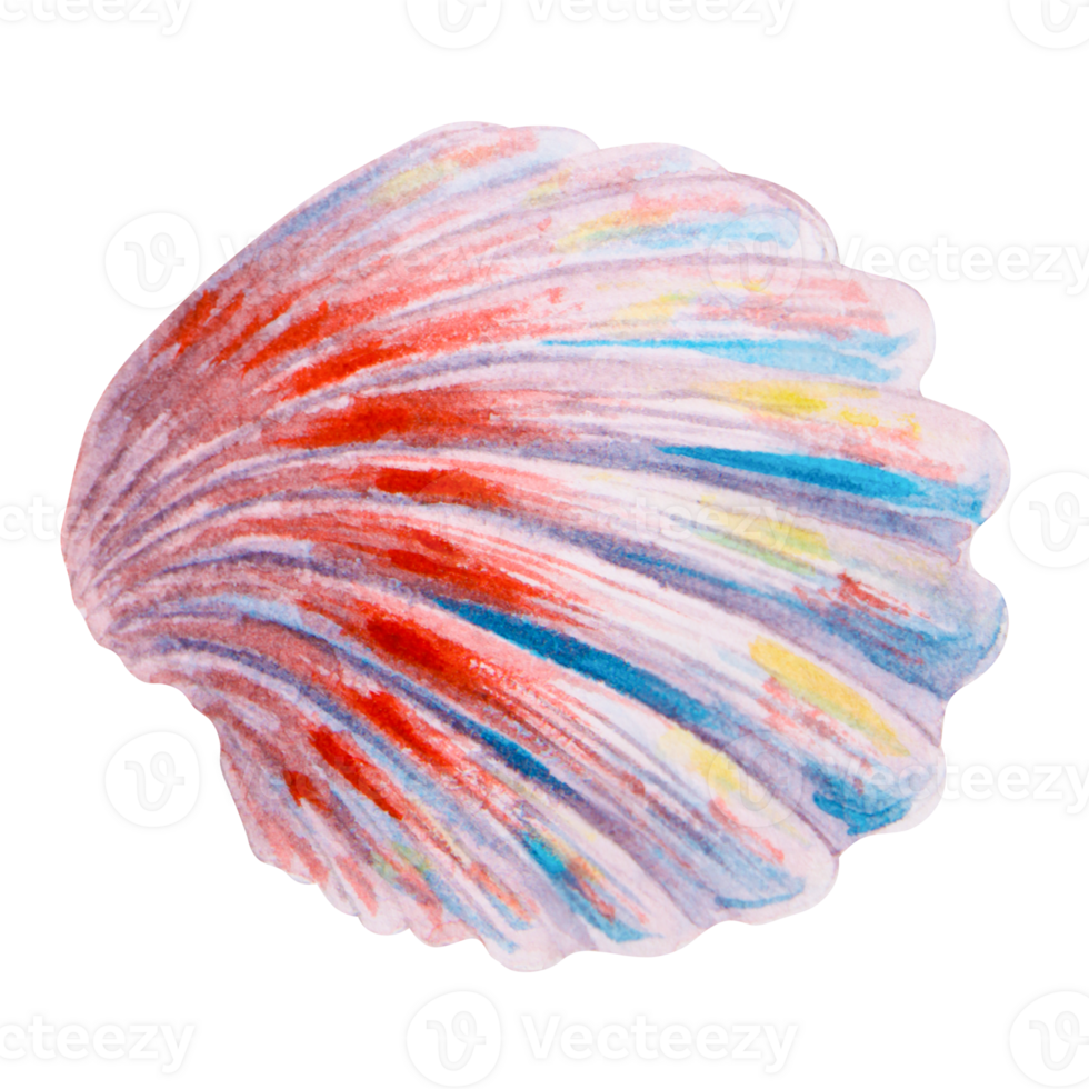 Colorful scallop seashell. Watercolor hand drawn marine illustration of a vibrant striped shell. Ideal for aquarium decor, diving tours, snorkeling designs, tropical vacations, and marine wildlife png