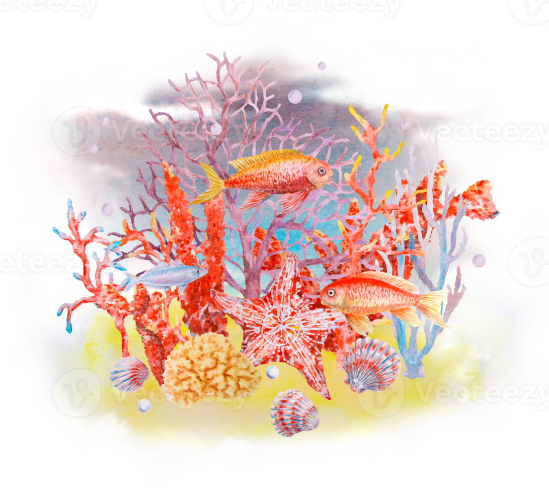 Underwater coral reef scene with colorful fish, starfish, corals, seashells, and bubbles. Watercolor illustration perfect for ocean-themed designs, marine education, travel and diving visuals. png