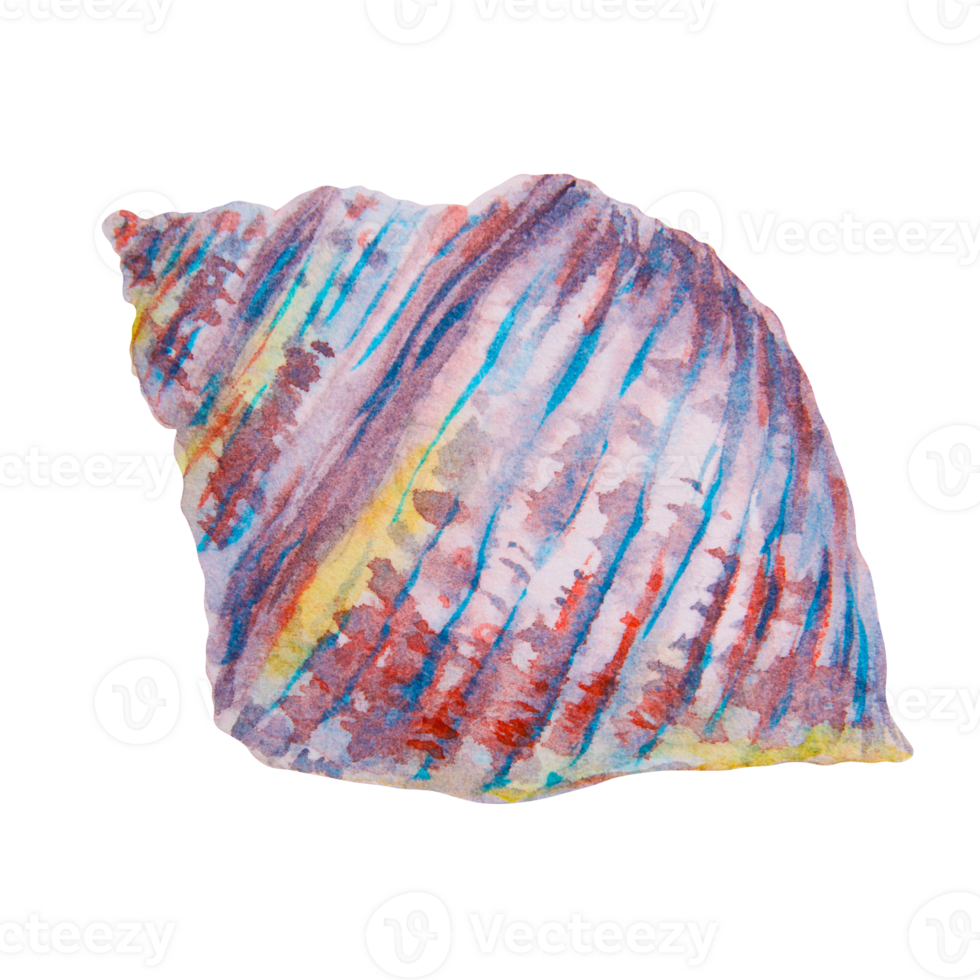 Colorful striped seashell. Watercolor hand painted marine illustration. Ideal for diving and snorkeling themes, tropical aquarium decor, beach holiday designs, ocean exploration and sea life projects png