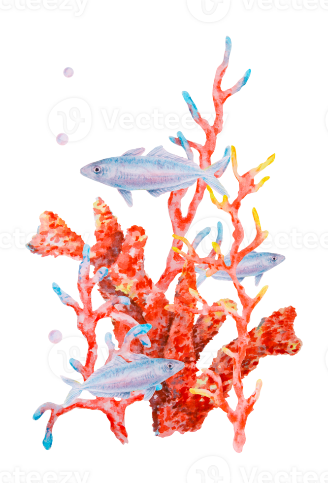 Watercolor illustration of vibrant red coral branches with small blue fish and air bubbles. Underwater marine scene perfect for sea-themed designs, prints, and ocean-related projects. png