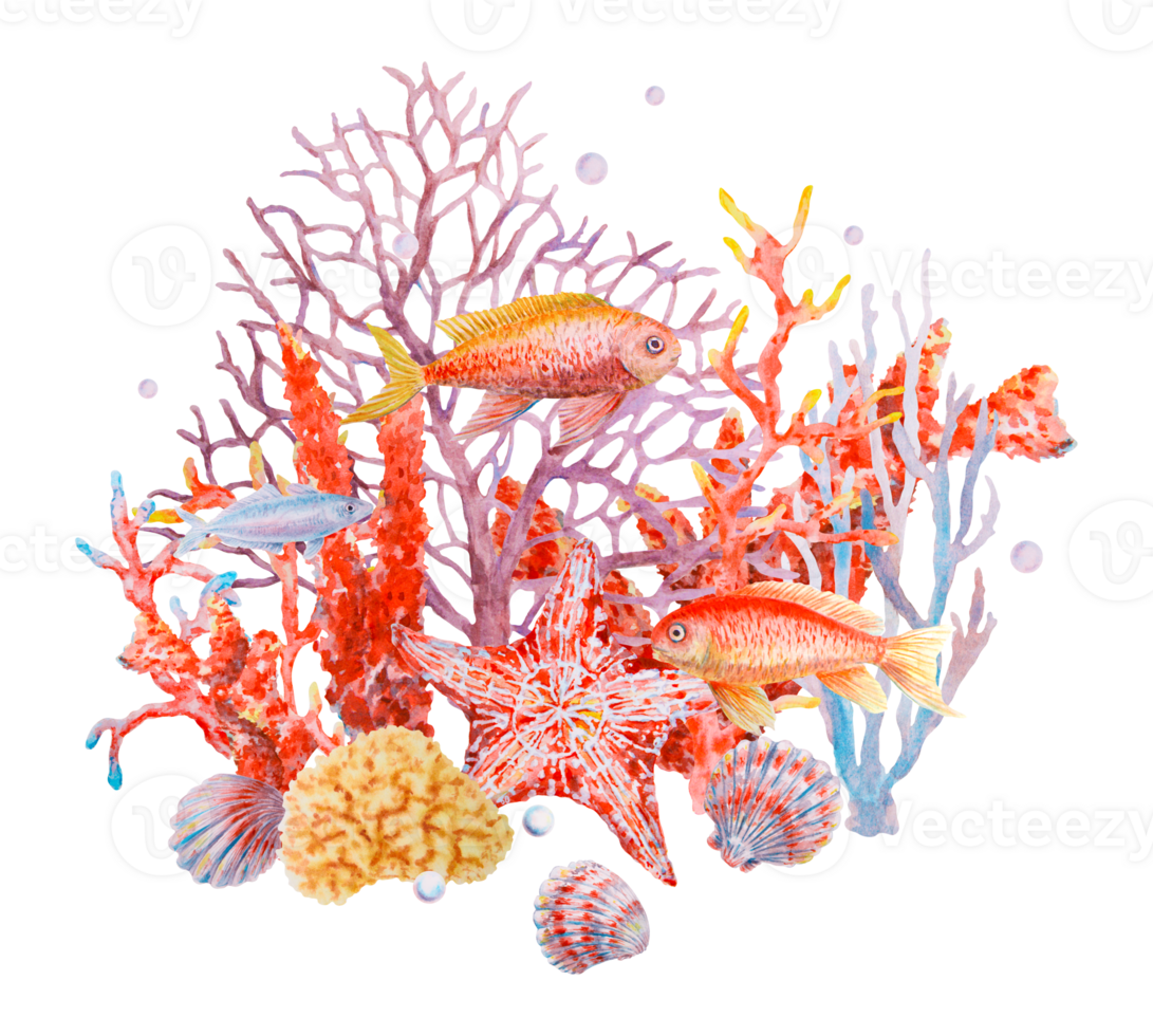 Watercolor composition with colorful tropical fish, sea corals, starfish, shells and bubbles. Underwater marine life scene for summer designs, ocean-themed decor, or educational materials. png