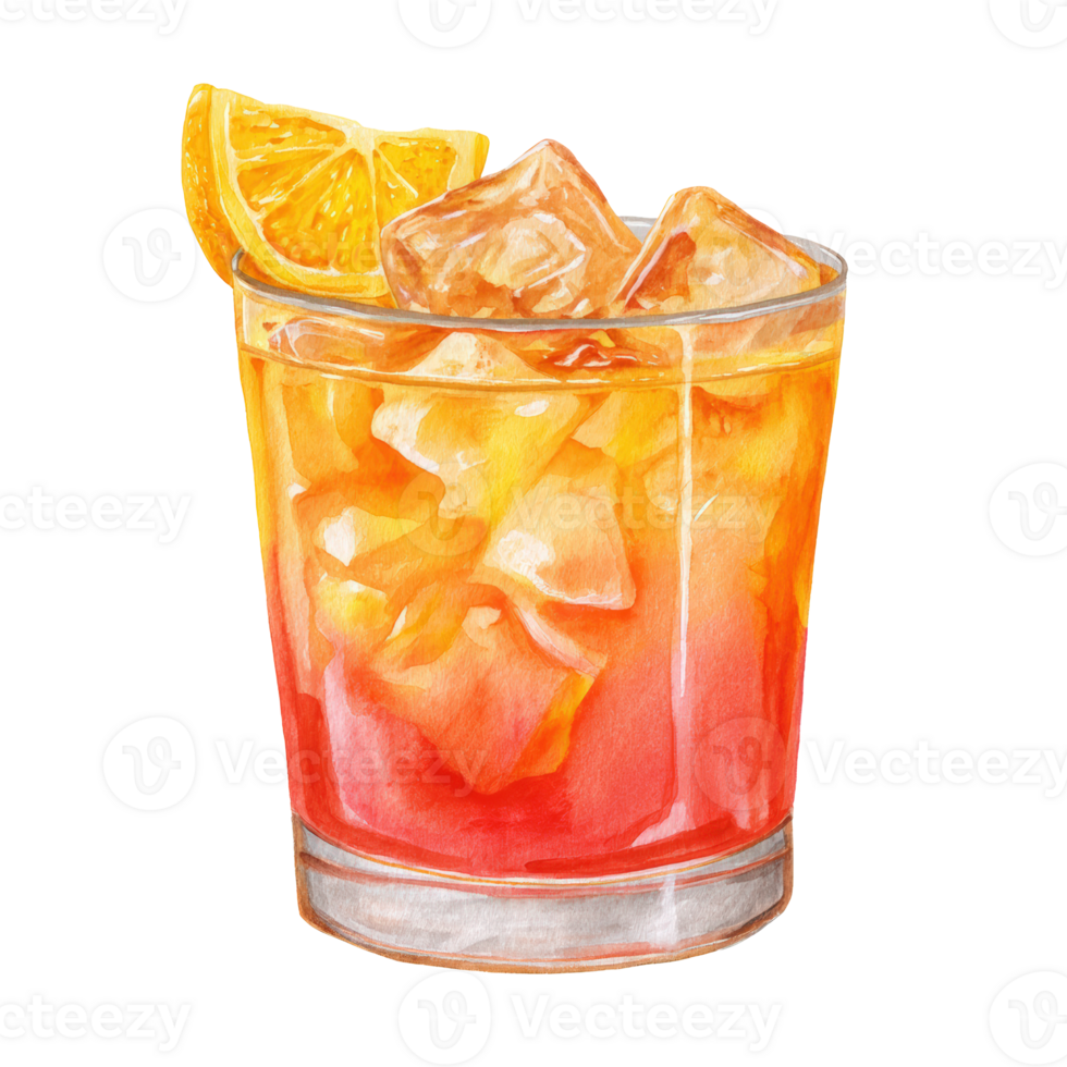 An orange drink with ice and a slice of orange png