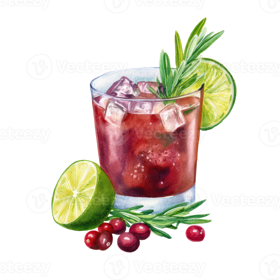 A glass of cranberry cocktail with lime and rosemary png