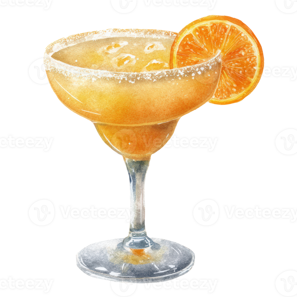 Orange margarita watercolor illustration png