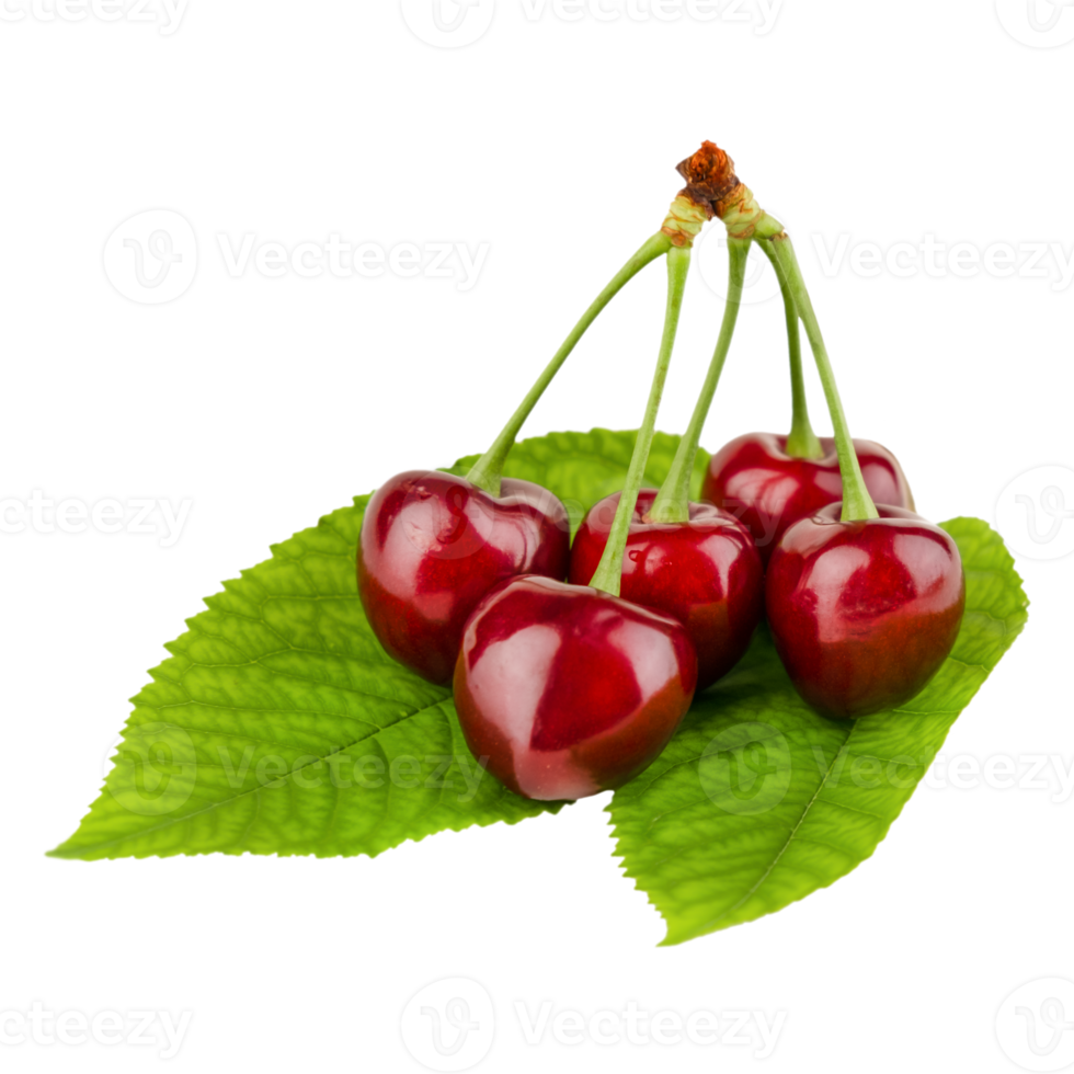 cherries with leaves png