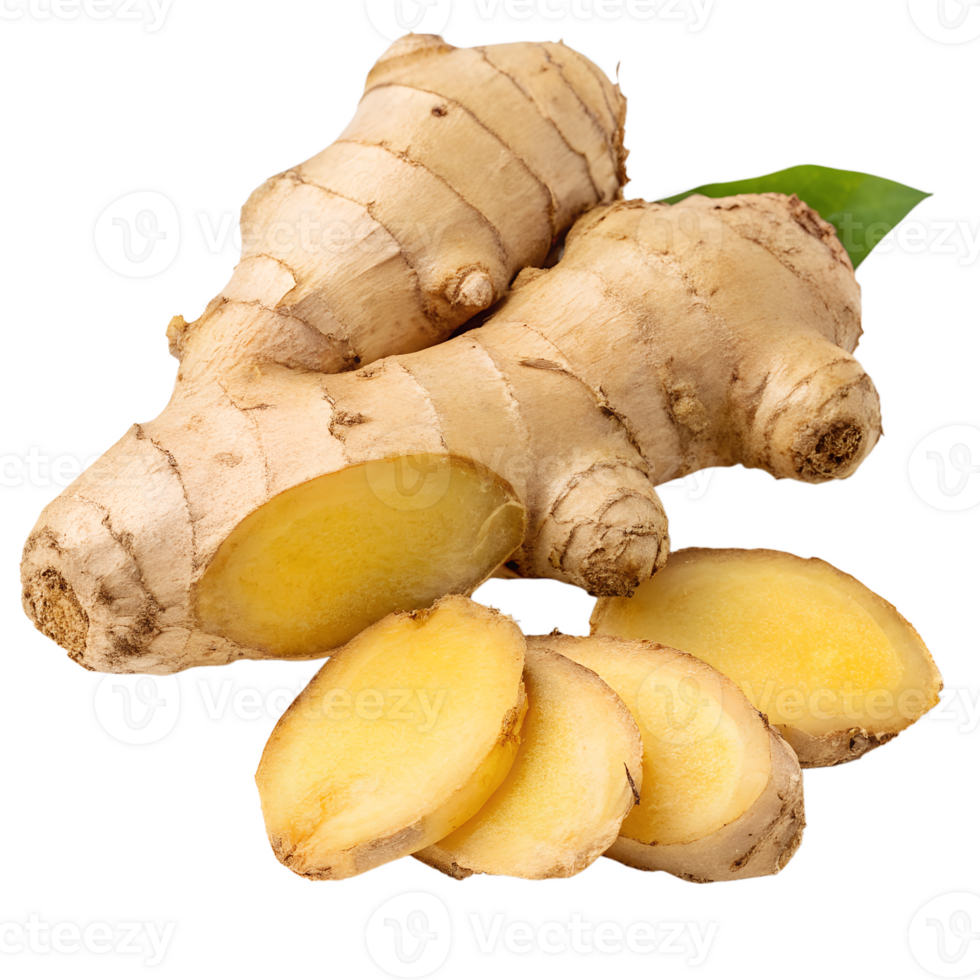 Fresh raw ginger root isolated on transparent background, natural spice with texture and details png