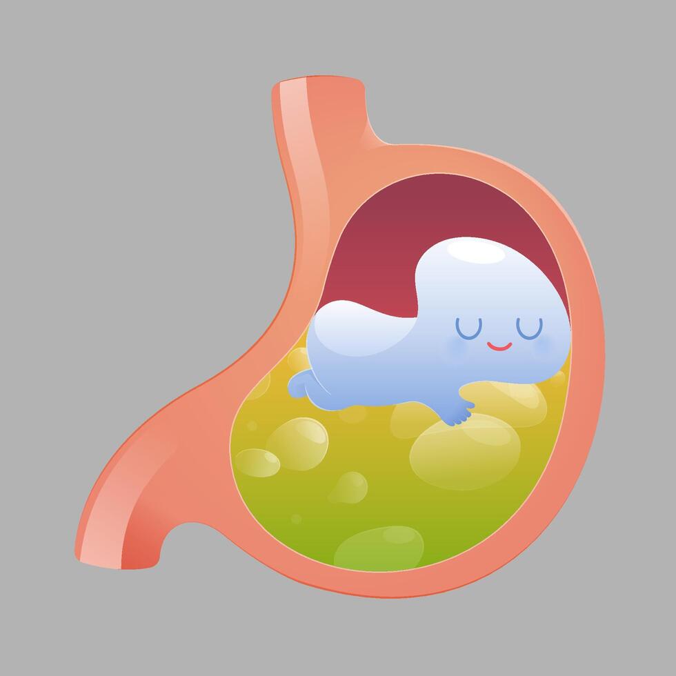 Liquid medicine easing acid reflux or reducing stomach acid vector