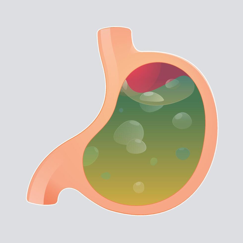 An illustration of stomach acid on a gray background. vector