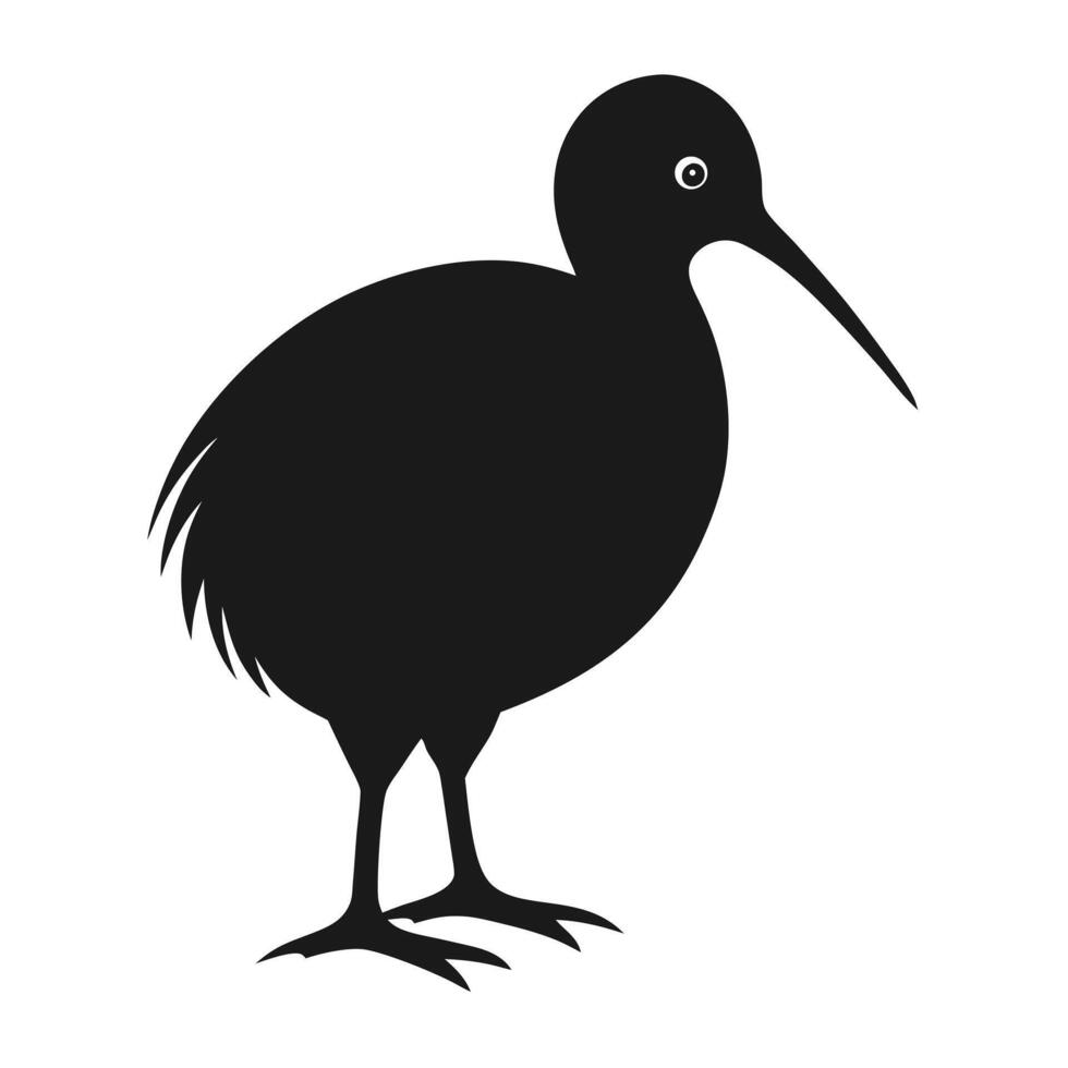New zealand kiwi bird silhouette black and white design vector