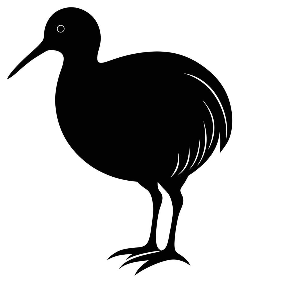 Kiwi bird silhouette black and white illustration vector