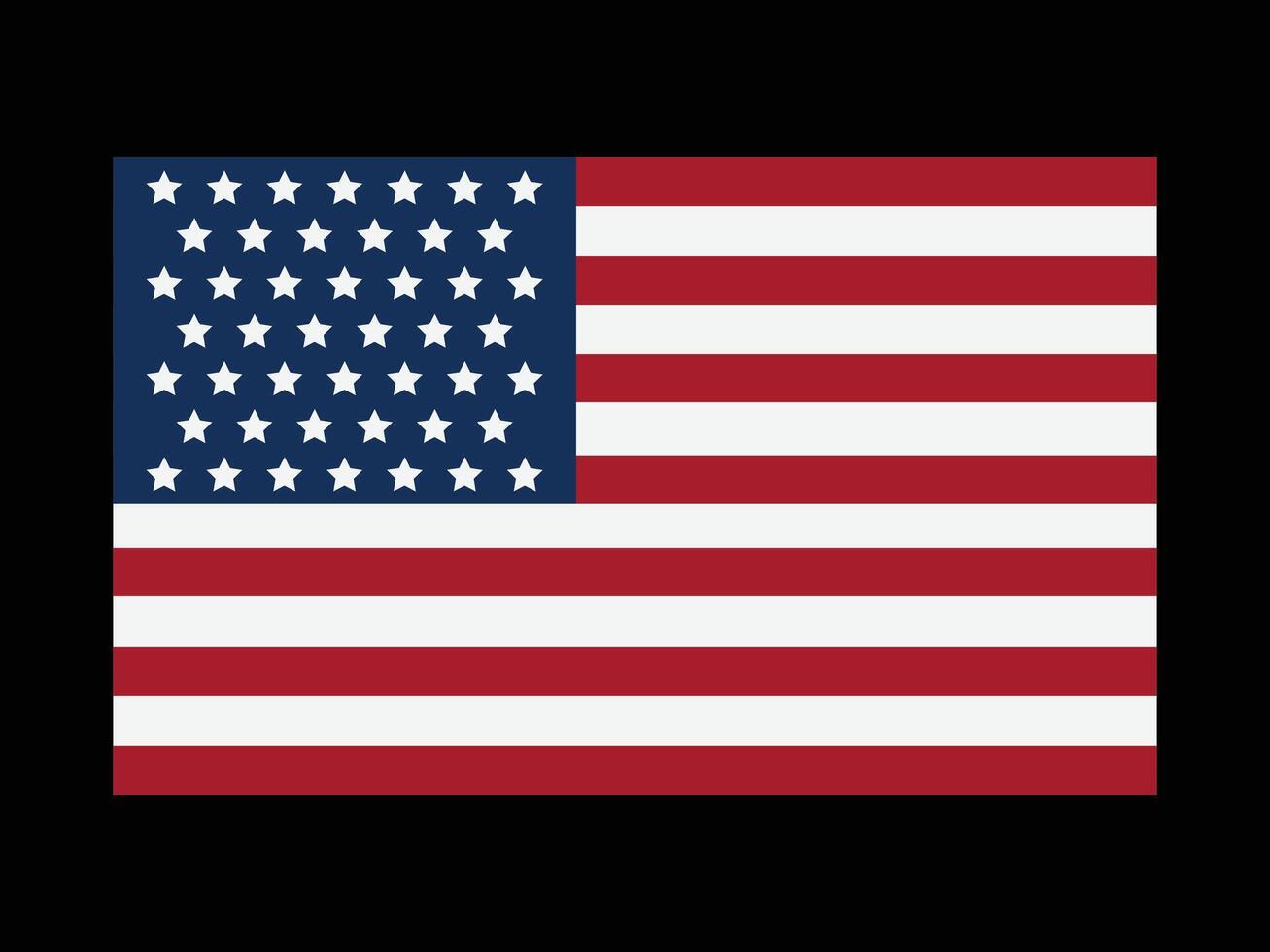 USA Flag Icon Illustration Design vector