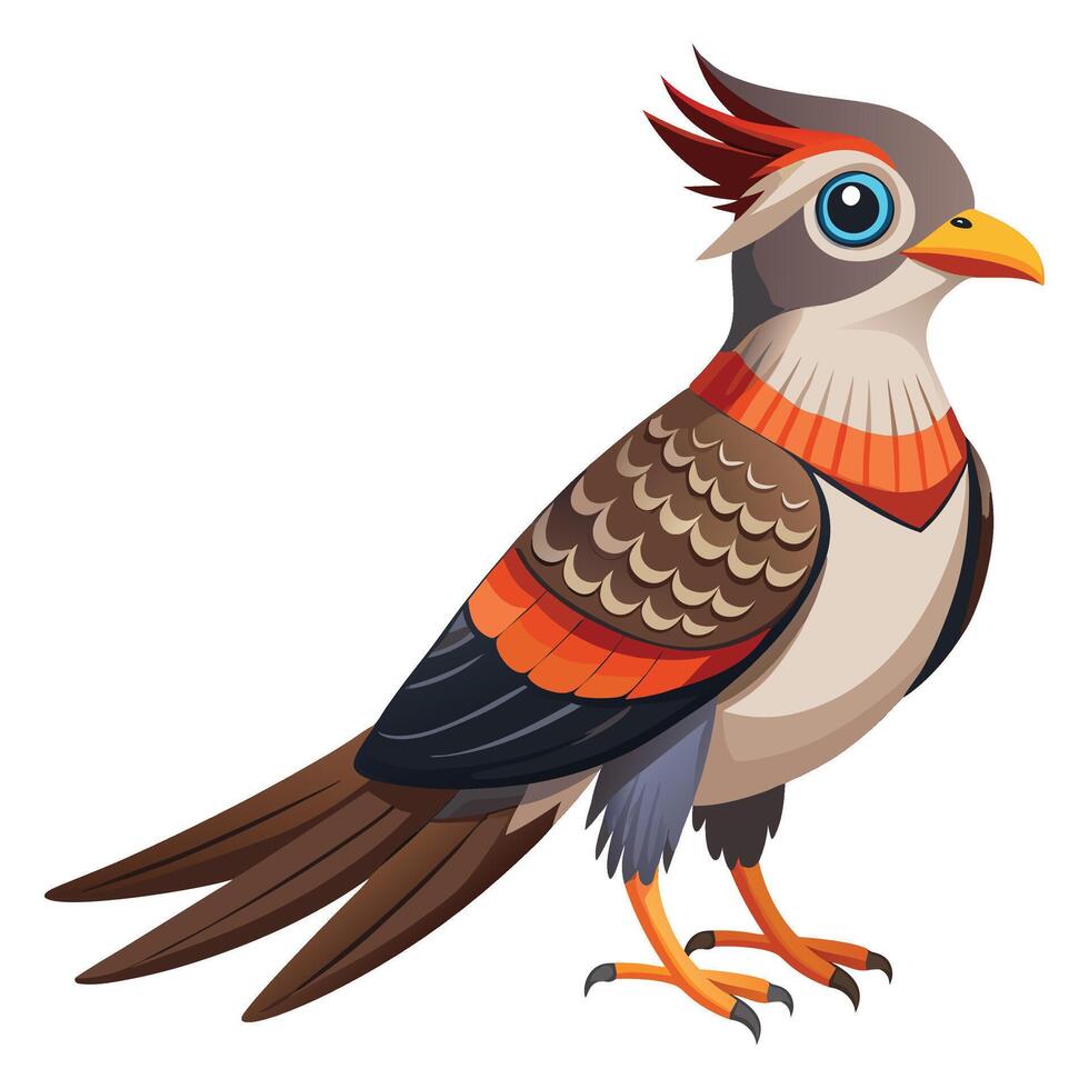 Cuckoo Bird clipart on white background vector