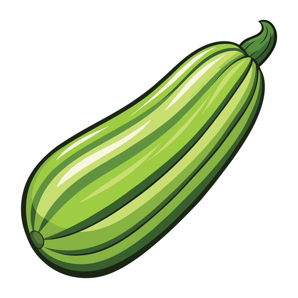 Zucchini clipart isolated on white background vector