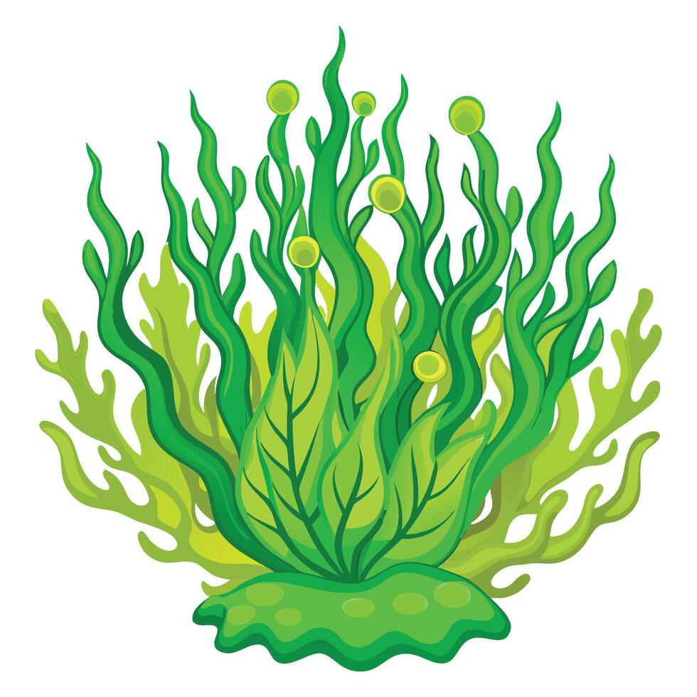 Algae clipart flat design isolated on white background vector