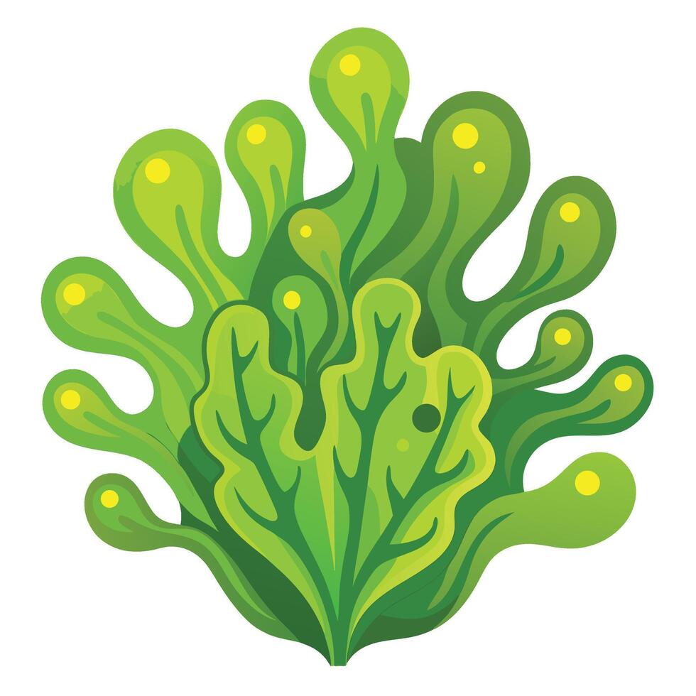 Algae clipart isolated on white background vector