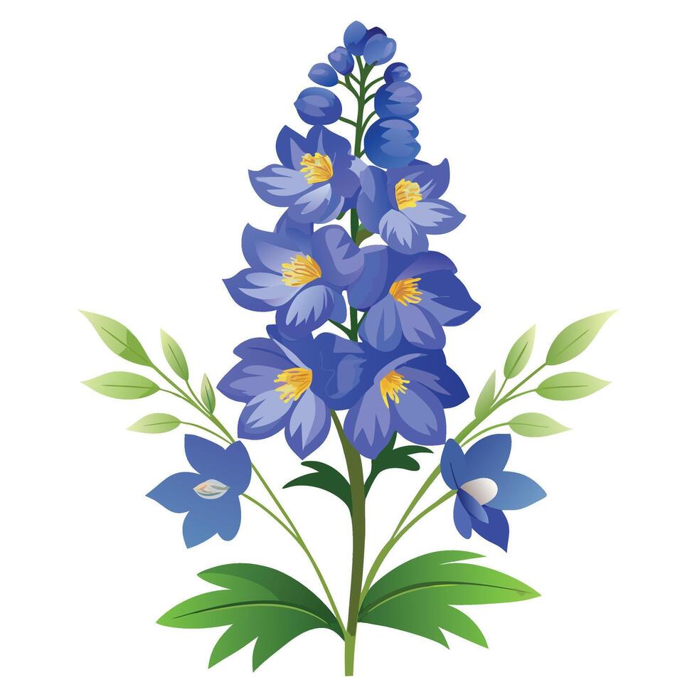 Delphinium flower clipart on white background vector