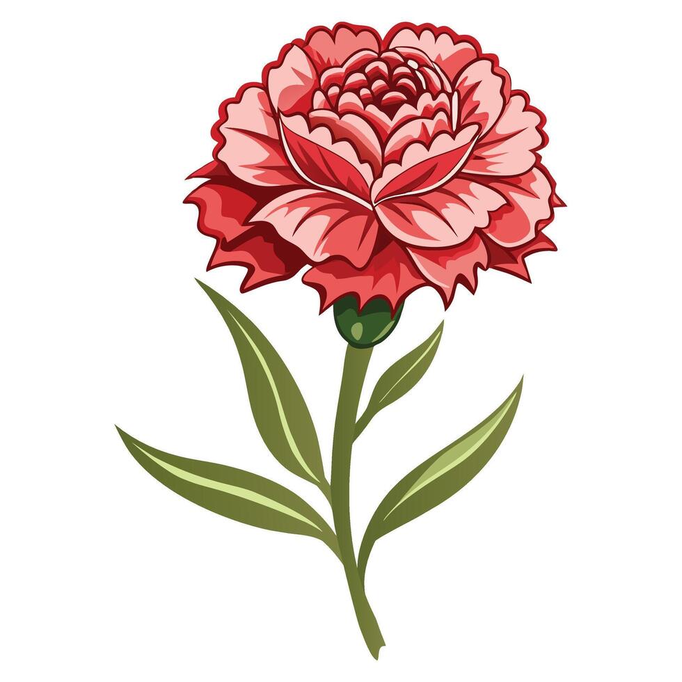 Carnation flower clipart isolated on white background vector