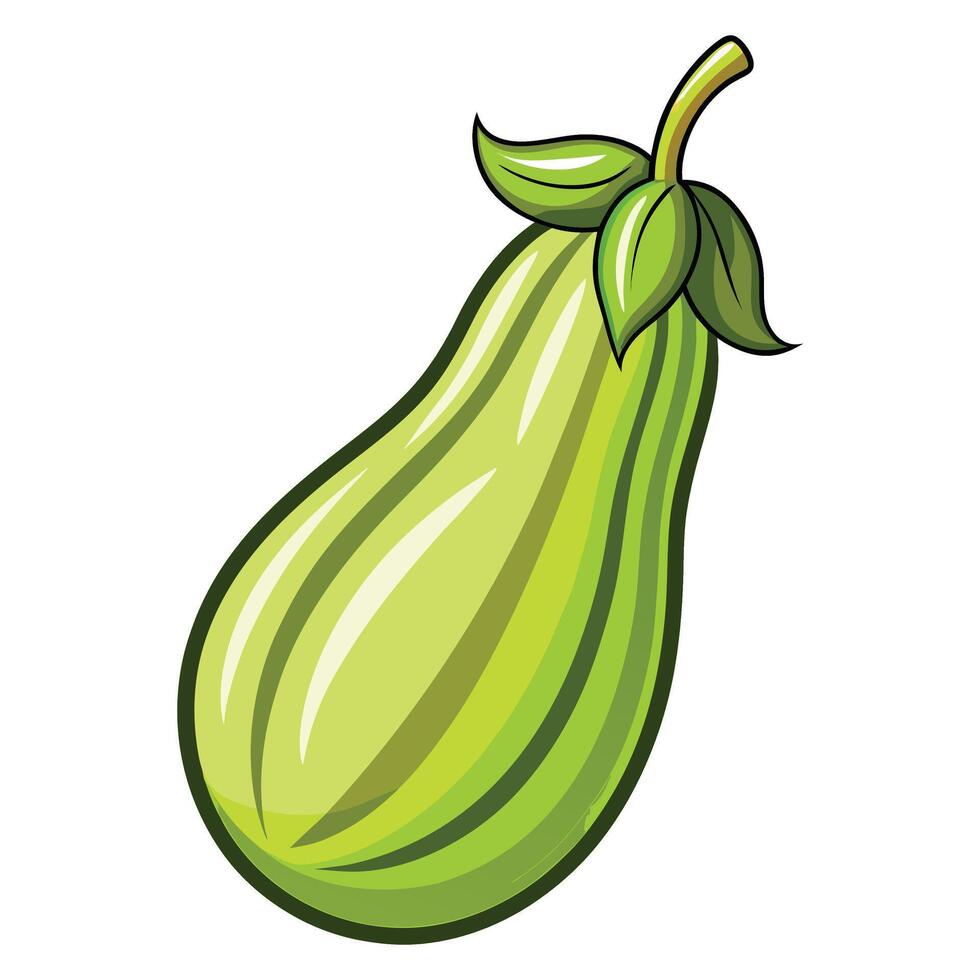 Bottle Gourd clipart isolated on white background vector