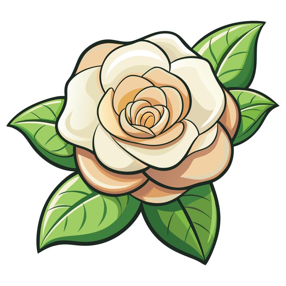 Gardenia Flower clipart isolated on white background vector