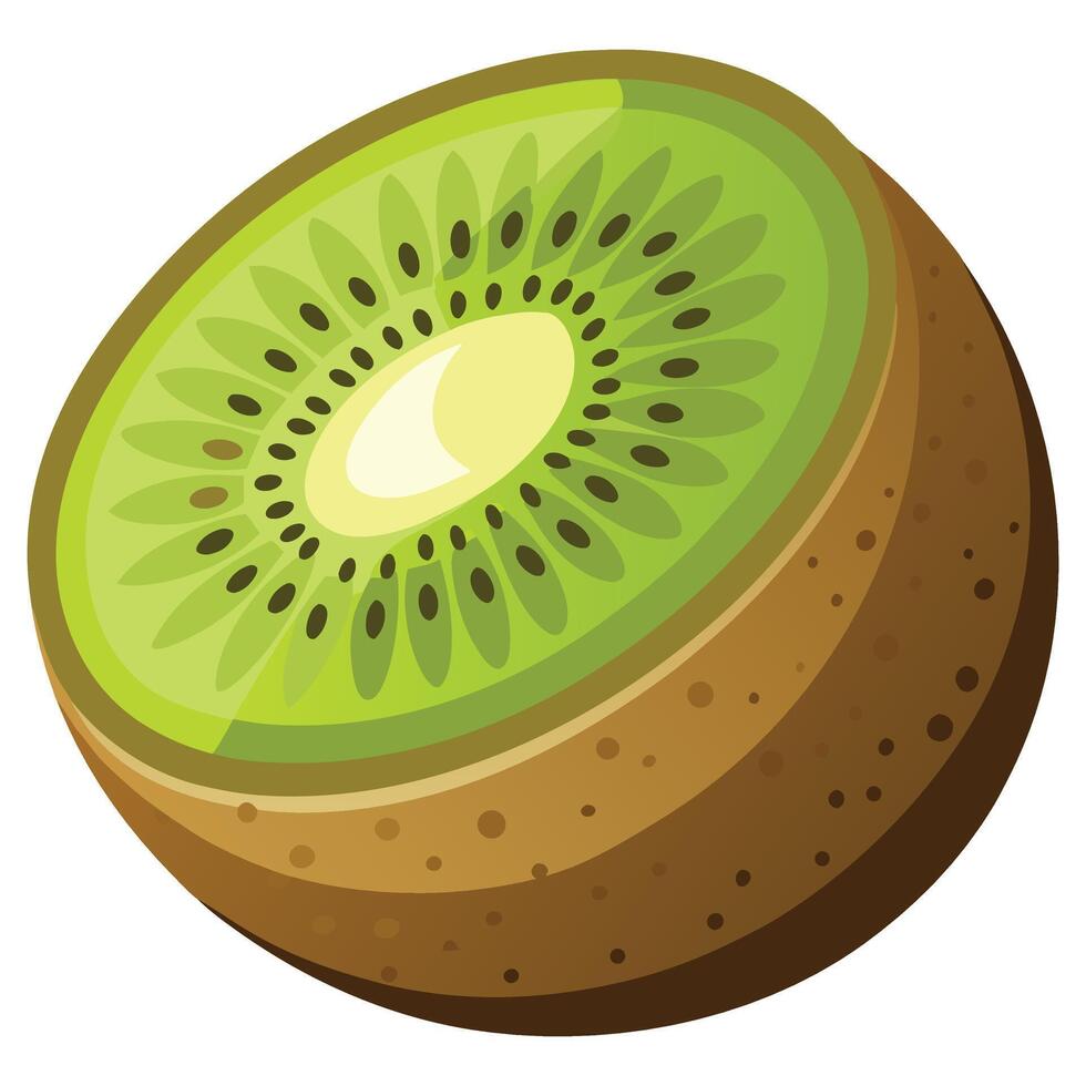 Kiwi clipart isolated on white background vector
