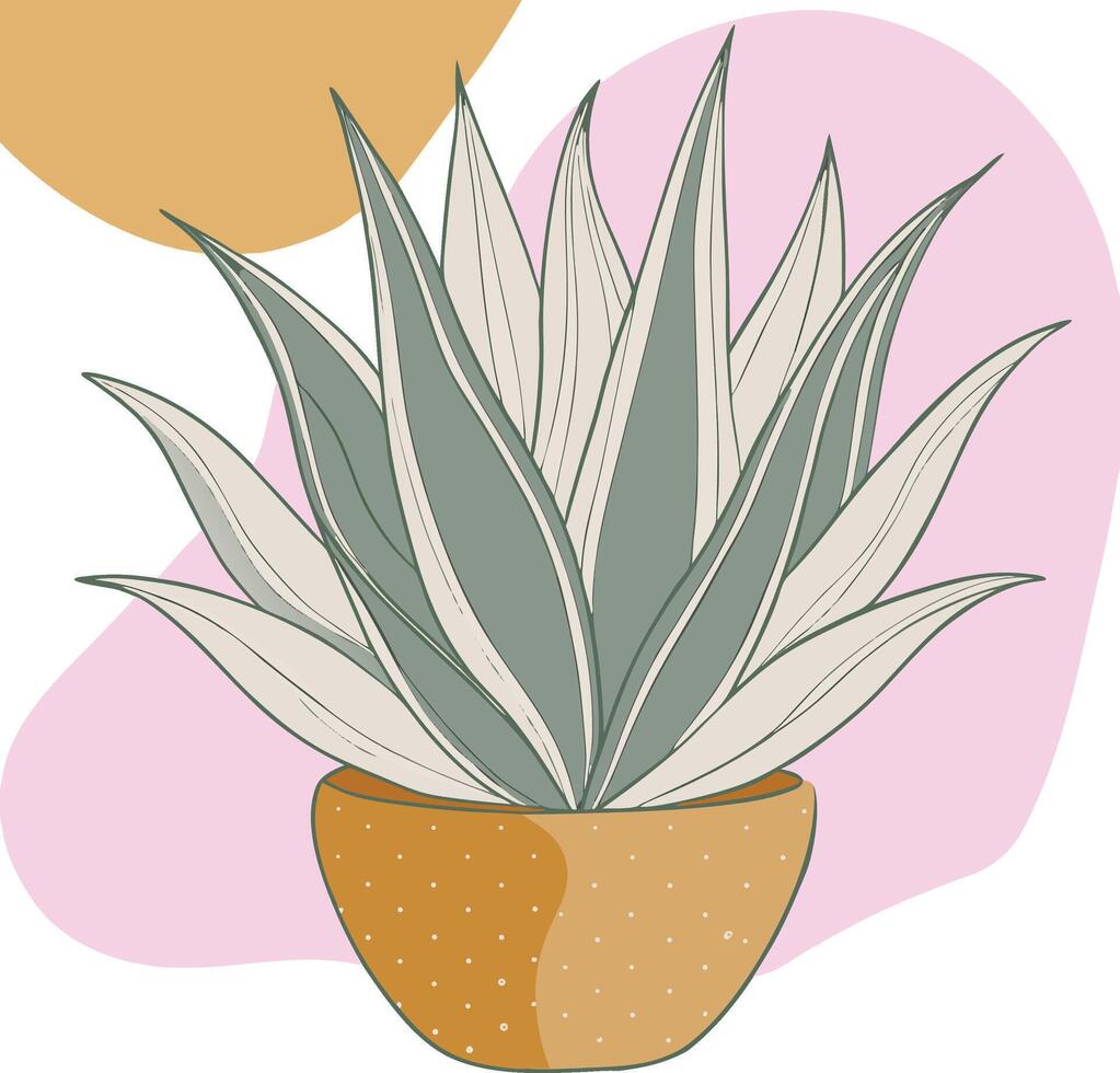 Aloe vera clipart on white background vector