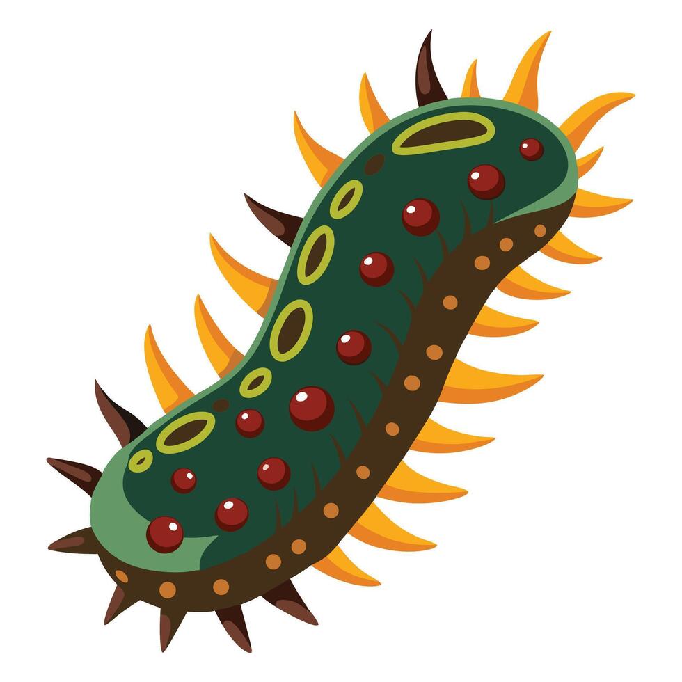 Sea Cucumber clipart flat design isolated on white background vector