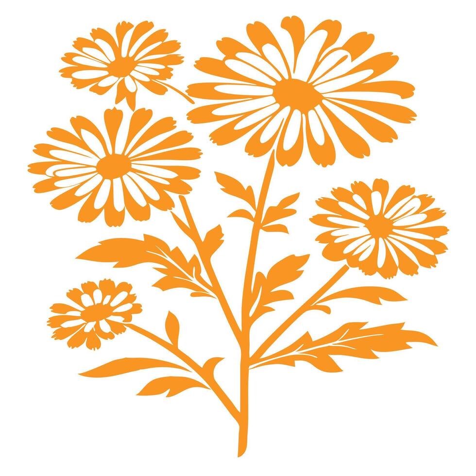 Ornate Orange Flower Arrangement Against White Background. vector