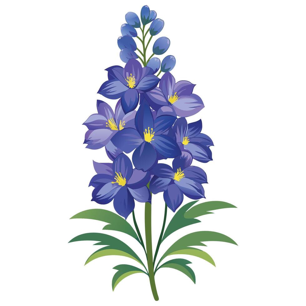 Delphinium flower clipart isolated on white background vector