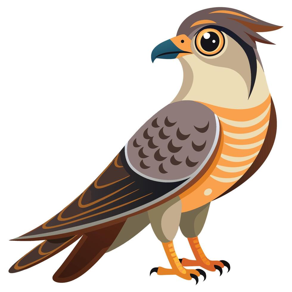 Cuckoo Bird clipart isolated on white background vector