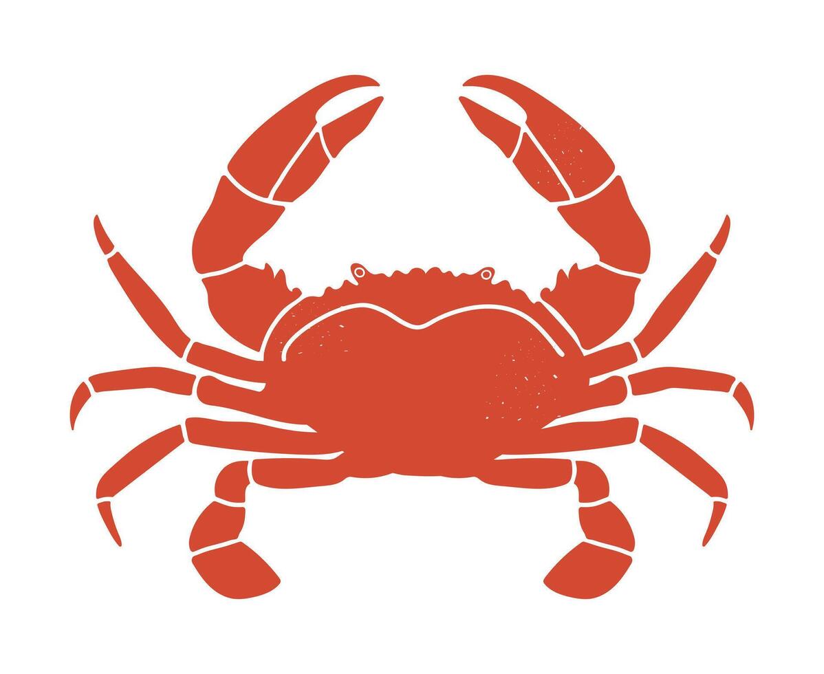 Crab isolated on white background. Crab closeup. vector