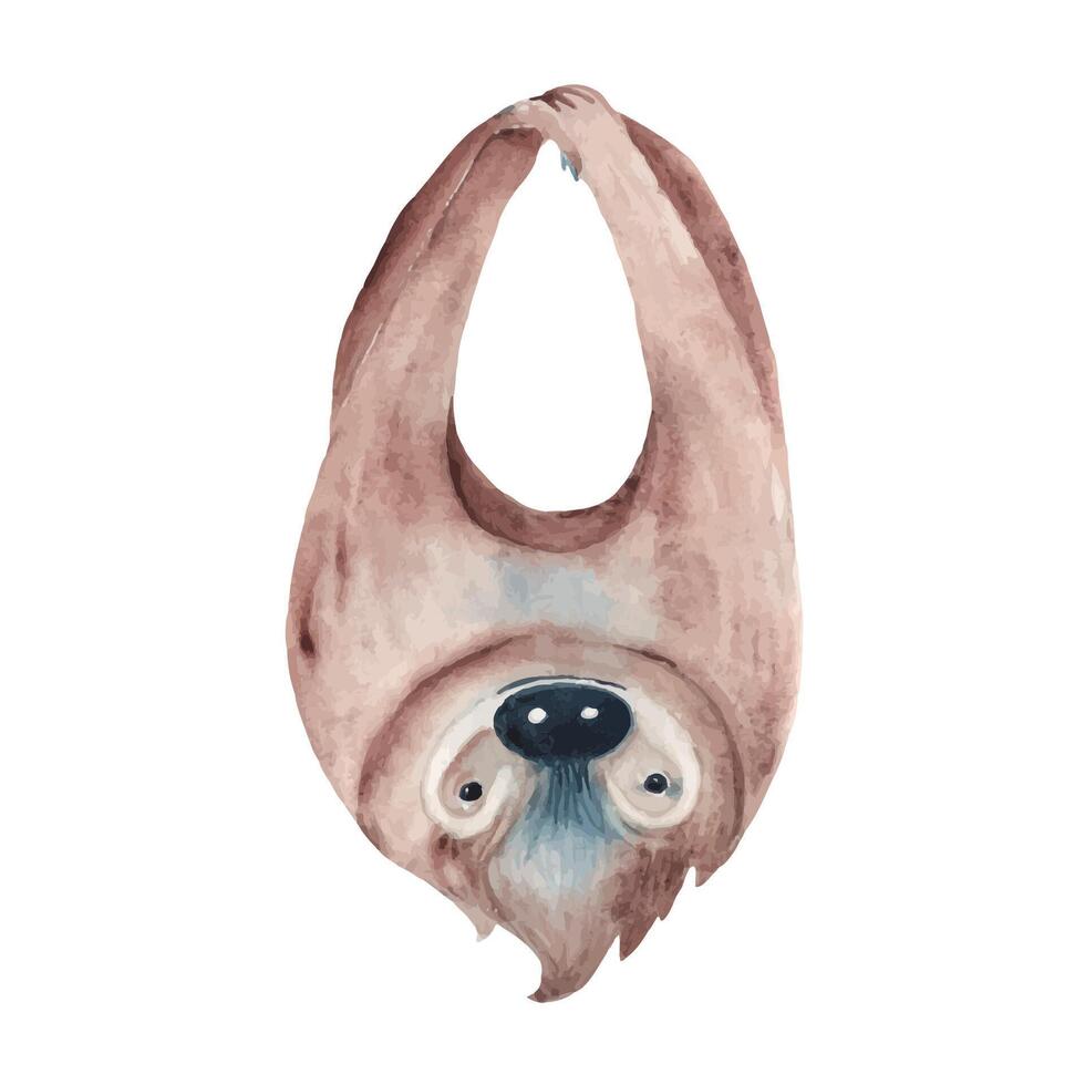 Sloth hanging upside down. Watercolor painting of cute Tropical animal. For cards and posters, wallpaper. vector