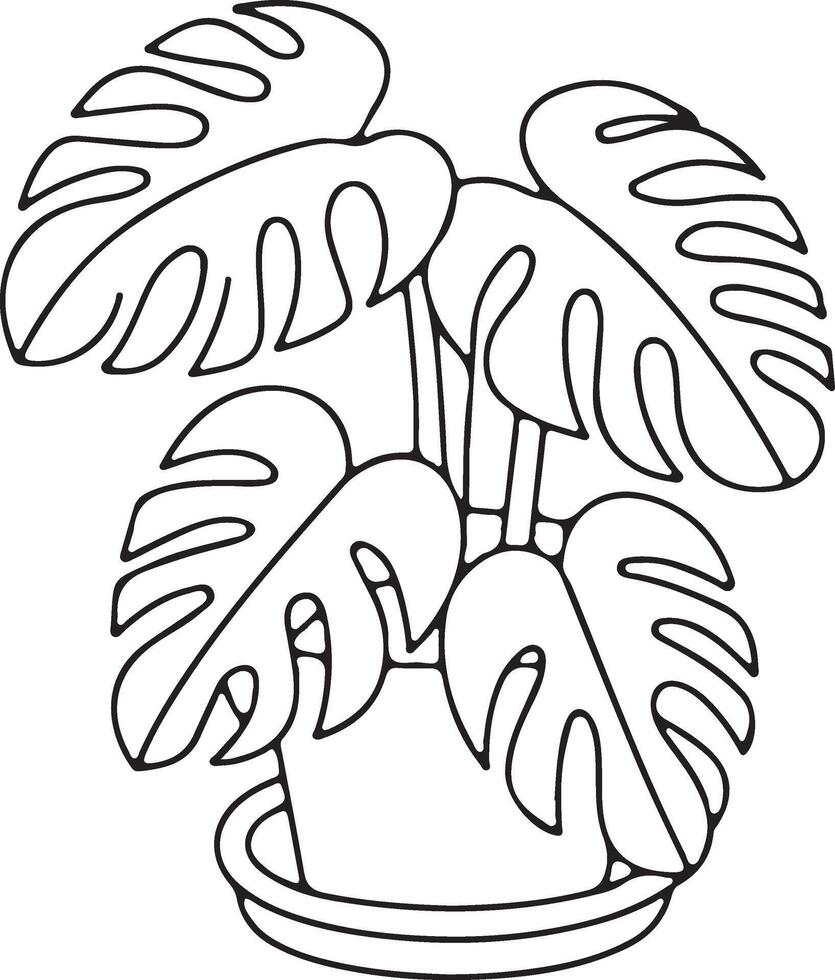 Monstera plant in pot line art illustration isolated on transparent background featuring botanical flora and tropical foliage vector