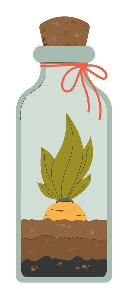 Plant Seedling Growing in Glass Bottle with Soil. vector