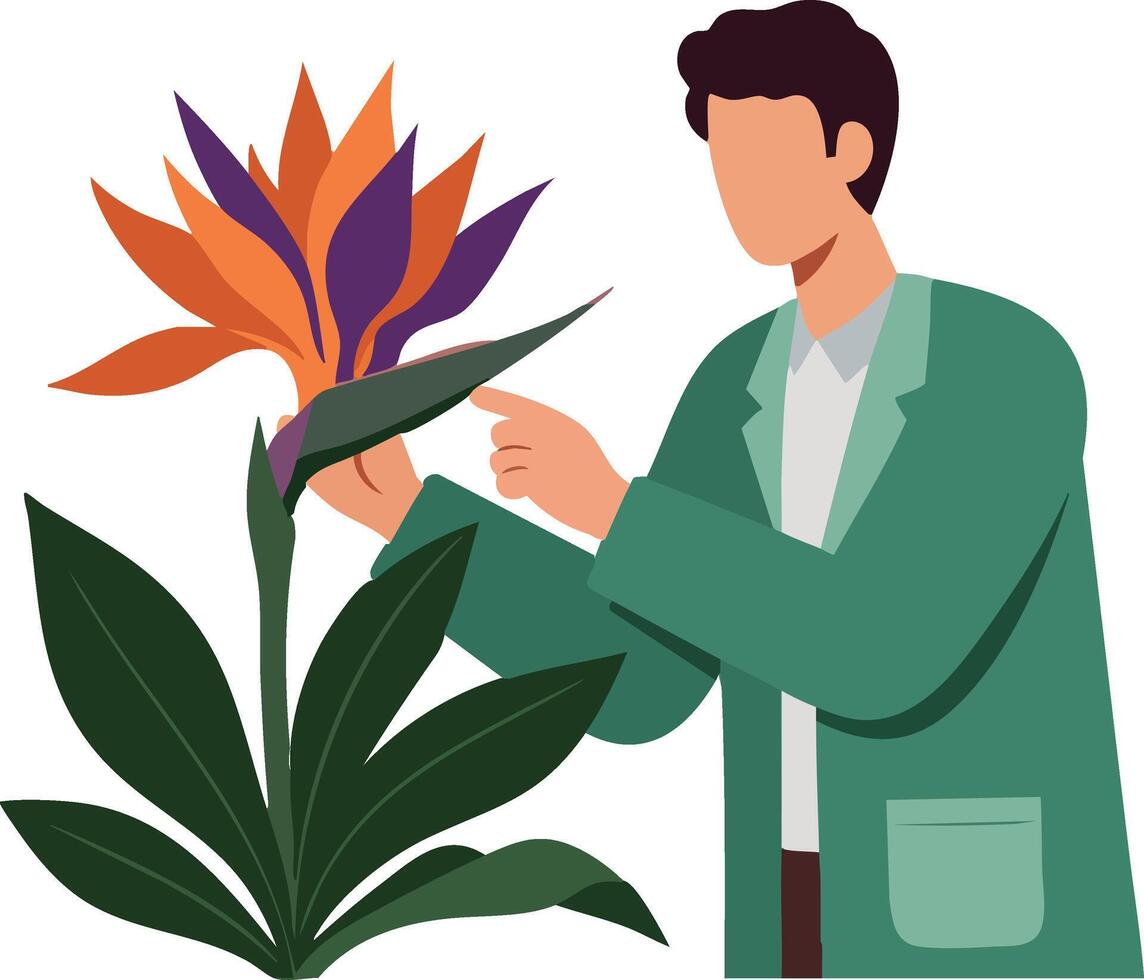 Man in green jacket examining orange and purple bird of paradise flower botanical illustration vector