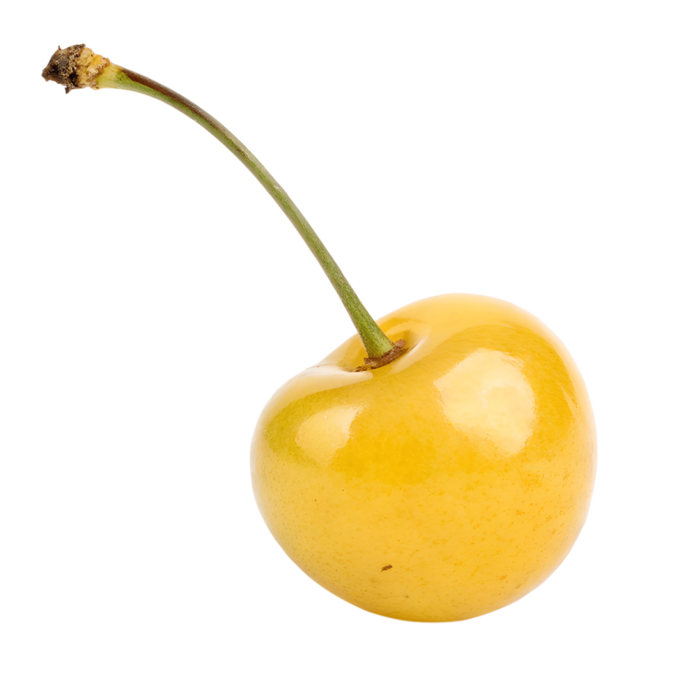 Yellow Cherry. Isolated on transparent background png