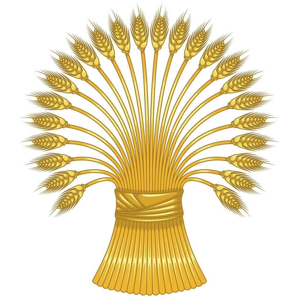 Discover the beauty of an organic farm's golden wheat sheaf, a symbol of natural harvest and sustainable agriculture vector