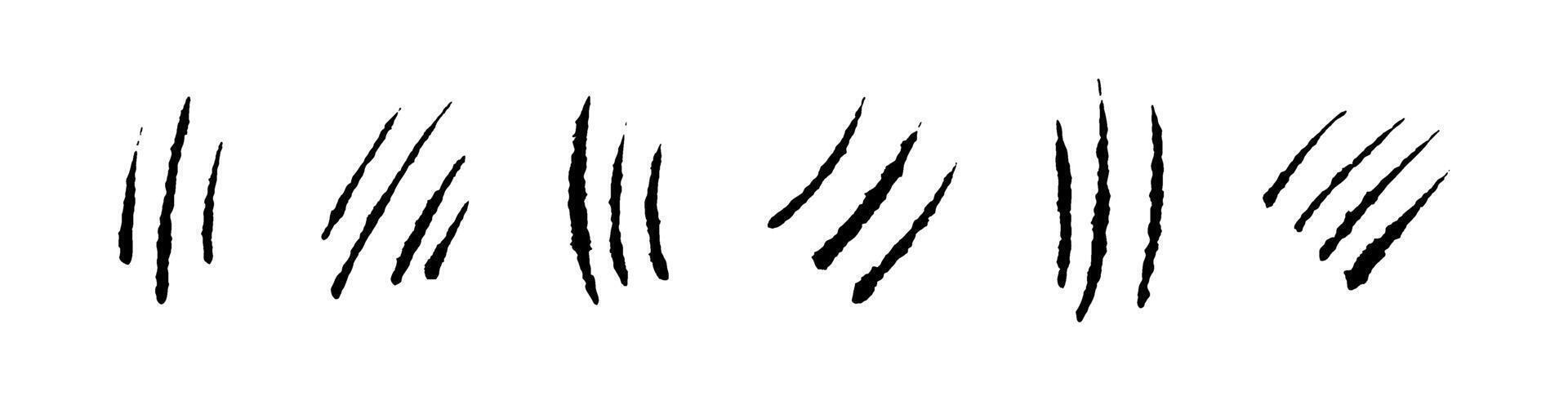 Tiger scratch marks with wild animal texture. Flat illustration isolated on white background. vector
